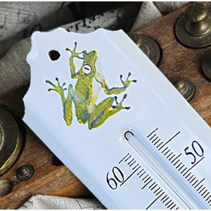 décor Grenouille zoom