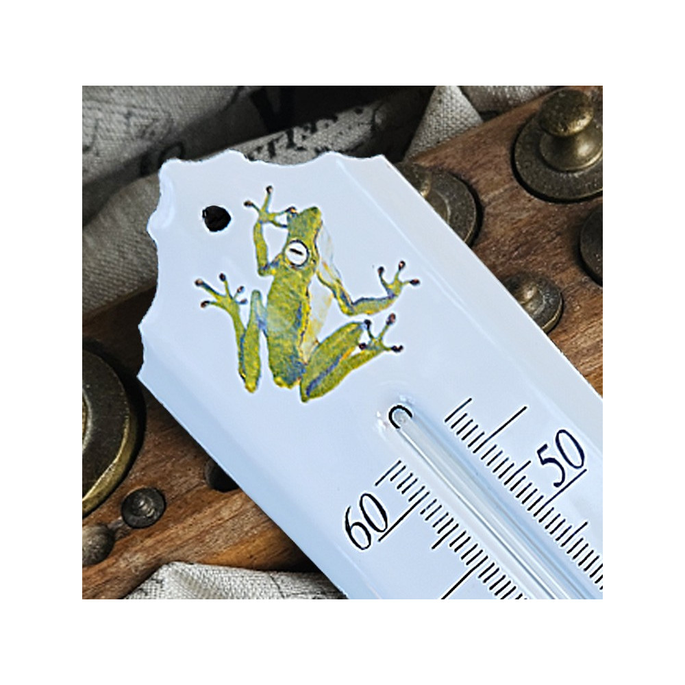 décor Grenouille zoom