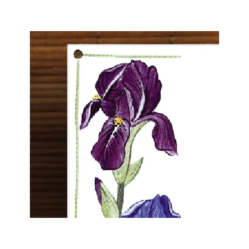 Décor Iris zoom