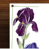 Iris decoration zoom