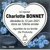 coeur mortuaire en email veritable personnalisation texte Arial