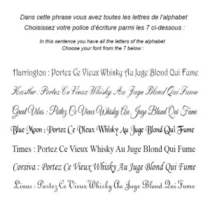 Grande plaque décorative en acier émaillé avec texte humoristique sur l'espoir qu'un jour le prince charmant viendra