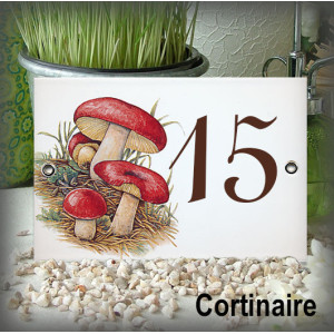 Numéro décor Champignon (6 décors proposés) 15x10cm avec en option de kit de fixation