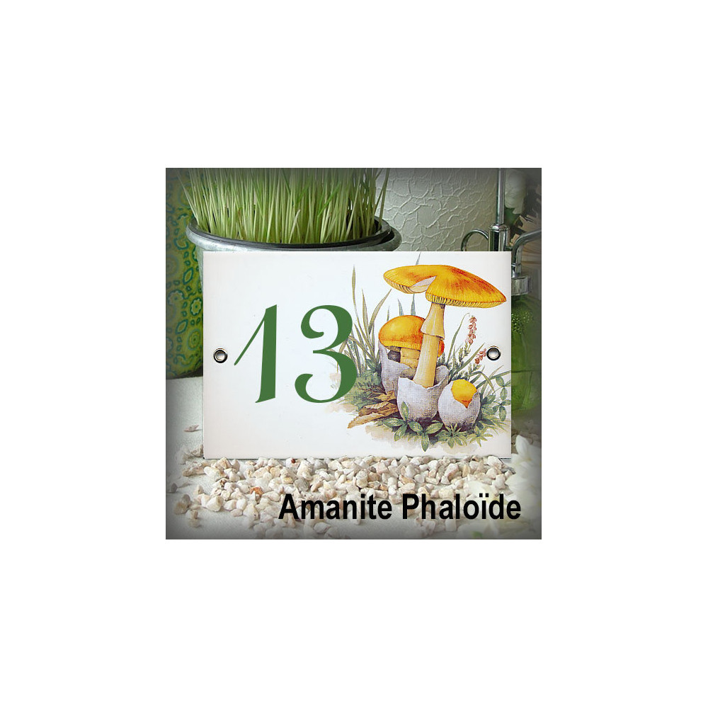 Numéro décor Champignon Amanite Phaloïde 15x10cm
