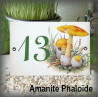 Numéro décor Champignon Amanite Phaloïde 15x10cm