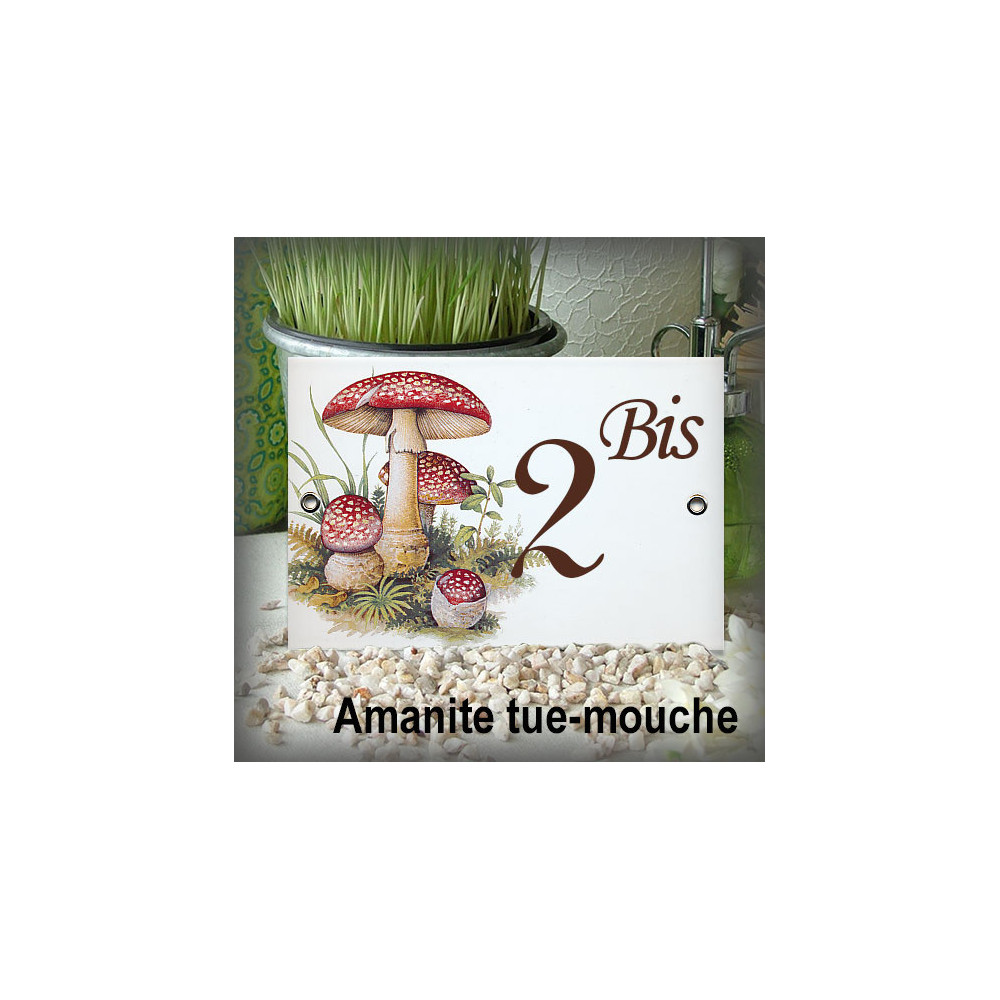 Numéro décor Champignon Amanite tue-mouche 15x10cm