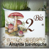 Numéro décor Champignon Amanite tue-mouche 15x10cm