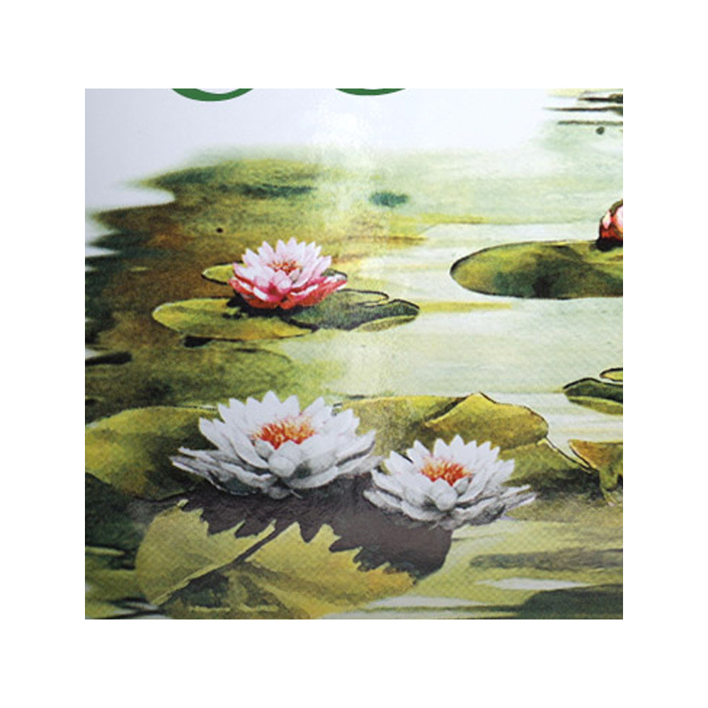 décor Nénuphar