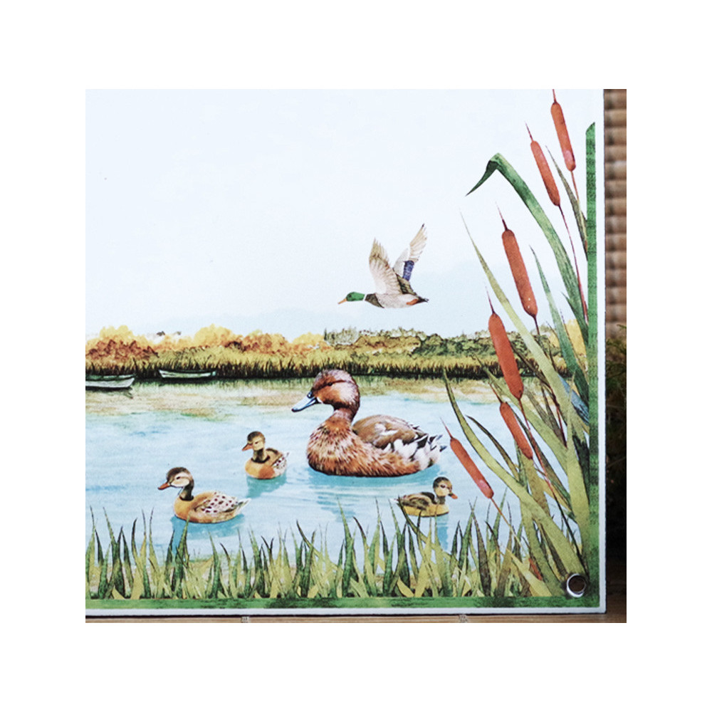 décor Canards