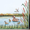 décor Canards