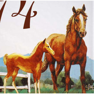décor Chevaux