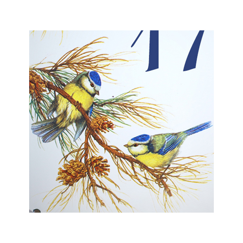 décor Mésanges bleues