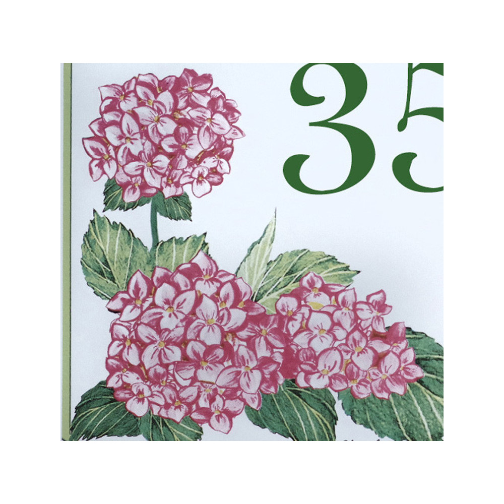 décor Hortensia rose