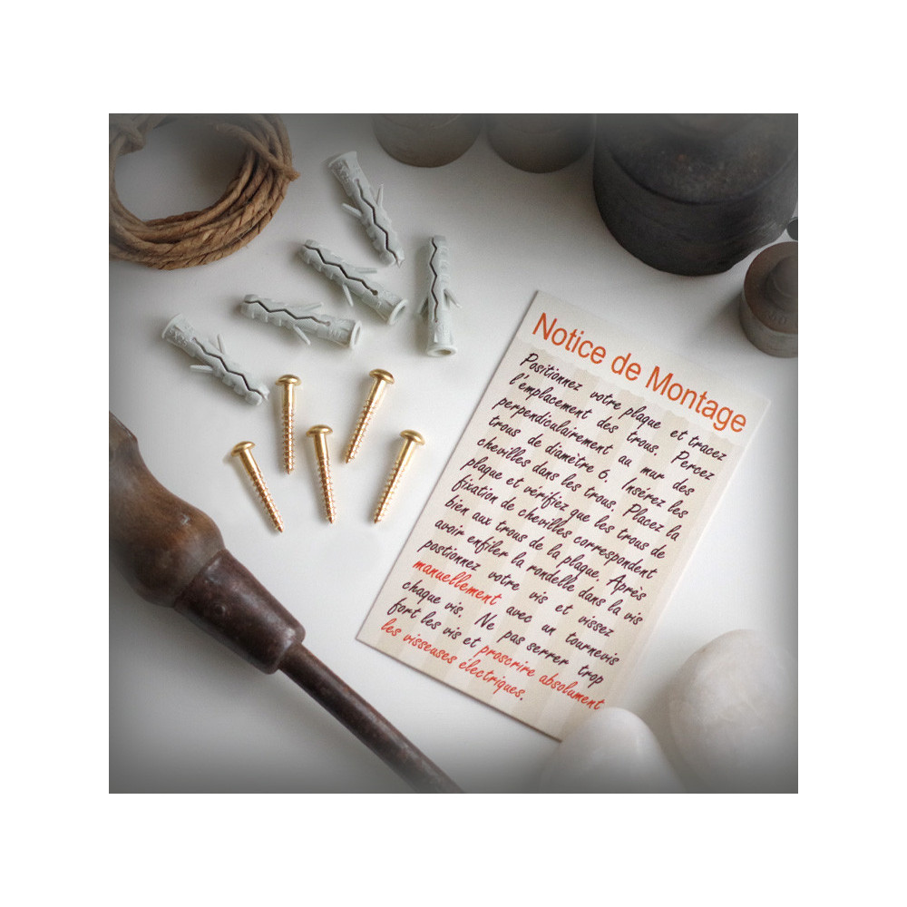 Fixing kit with brass screw and wall plug for your Paris street sign