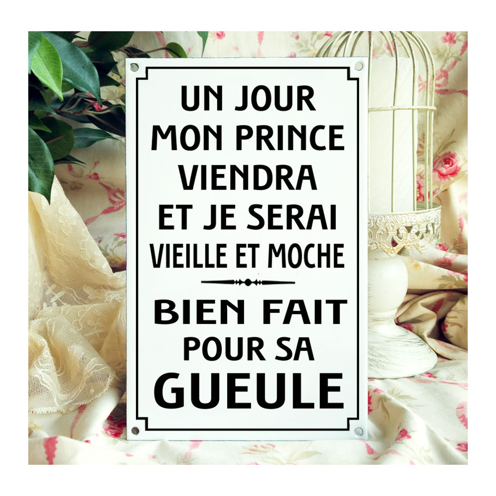 Plaque Émaillée Humoristique « Mon Prince Viendra » - Deco Vintage