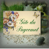 Ivory personalized enamel house plate Flowers of Meadows decoration green kastler caracters