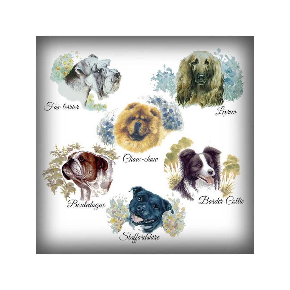 Choisissez la race de votre chien