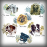 Choisissez la race de votre chien