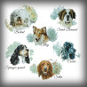 Choisissez la race de votre chien