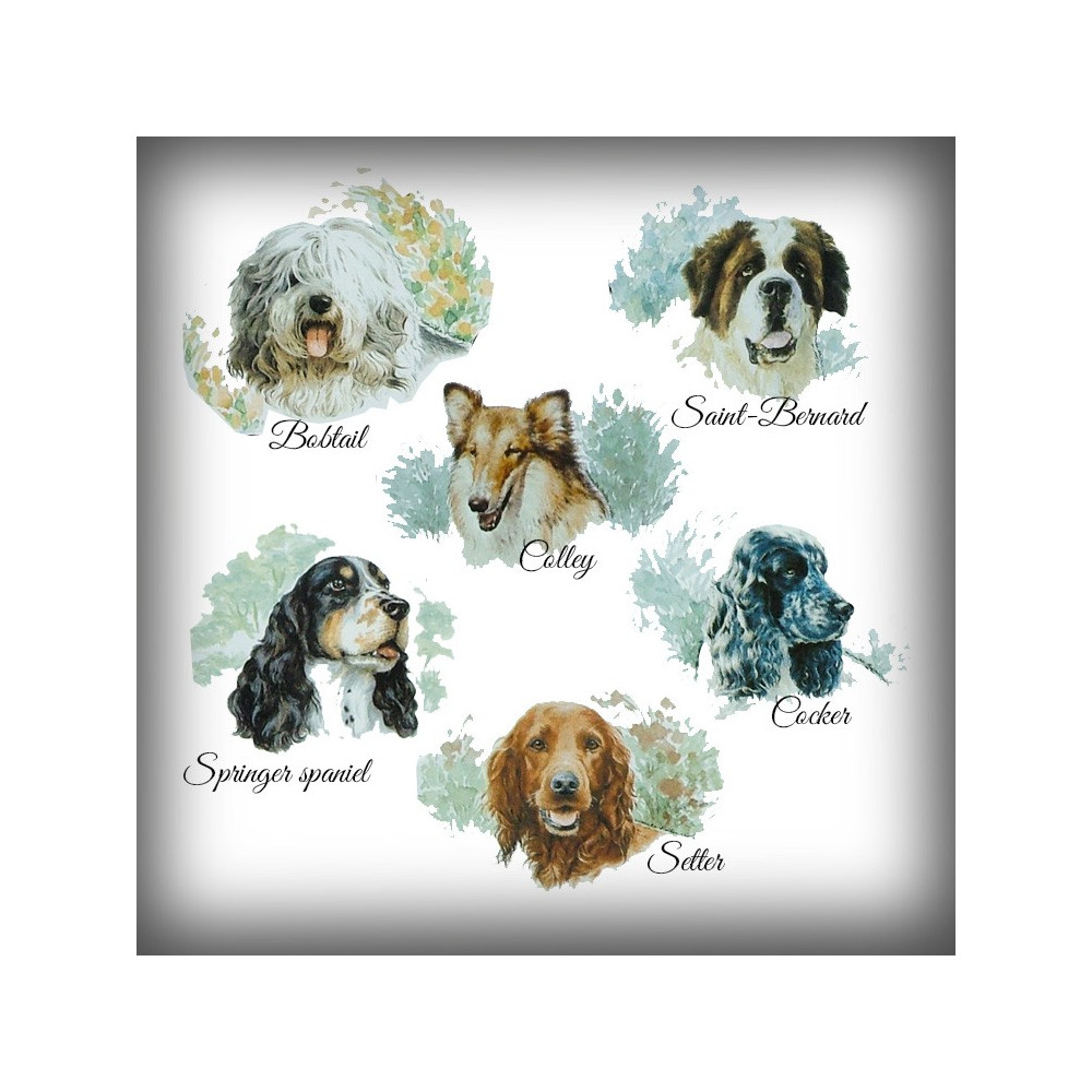 Choisissez la race de votre chien