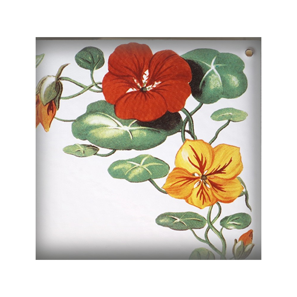Street Number enamelled nasturtiums decoration zoom
