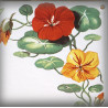 Street Number enamelled nasturtiums decoration zoom