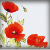 Plaque Maison émaillée décor Coquelicots