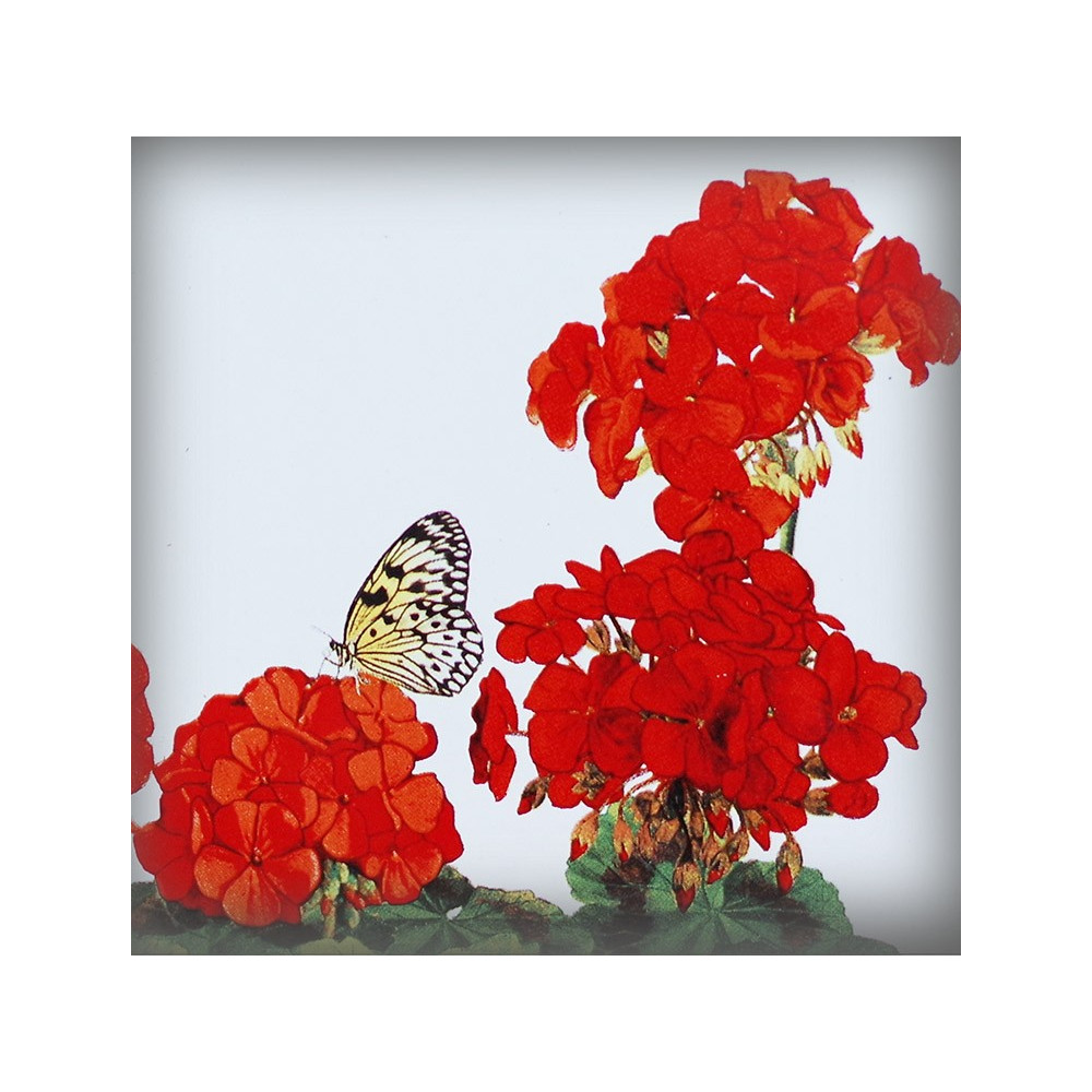 Numéro de rue émaillé décor Géranium 15x15cm