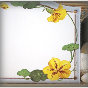 Street Number enamelled Nasturtiums decor 5,2x8in
