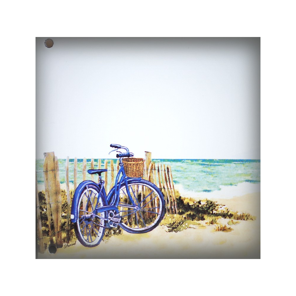 Plaque maison émaillée décor Dunes et vélo