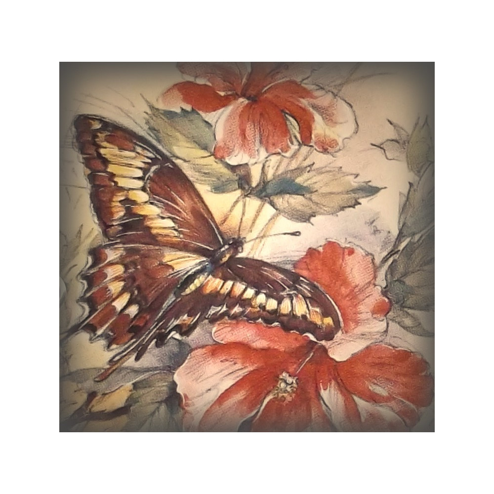 décor papillon rose zoom