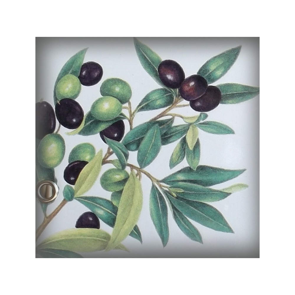 zoom décor Olives