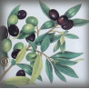 zoom décor Olives