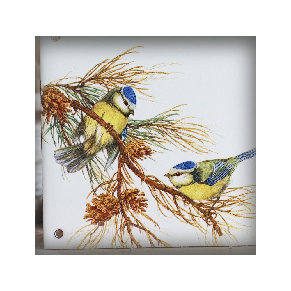 Plaque de maison émaillée décor Mésanges bleues 13,5x20cm