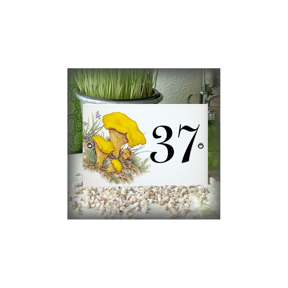 Decor number Mushroom : Girolles