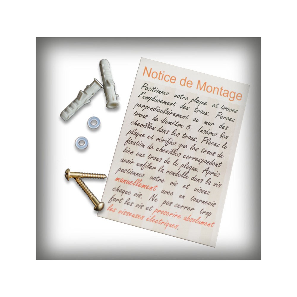 kit 2 vis + 2 chevilles + 2 rondelles + notice de montage