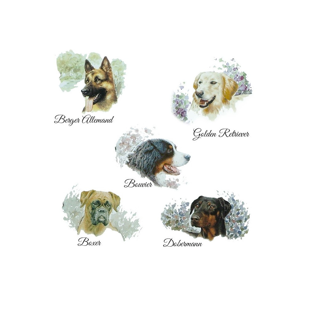 Races de chien disponible sur cette grande plaque