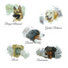 Races de chien disponible sur cette grande plaque