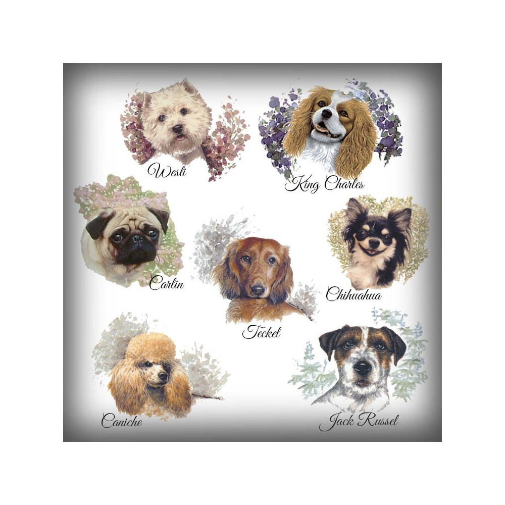 Plaque émaillée 31 races au choix  "Attention au chien"