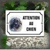 Plaque émaillée avec la photo de votre chien