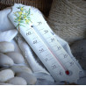 Enamel thermometer decoration Myosotis
