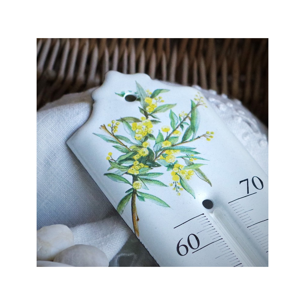 Thermomètre émaillé décor Myosotis