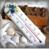 thermomètre en émail décor Prunes