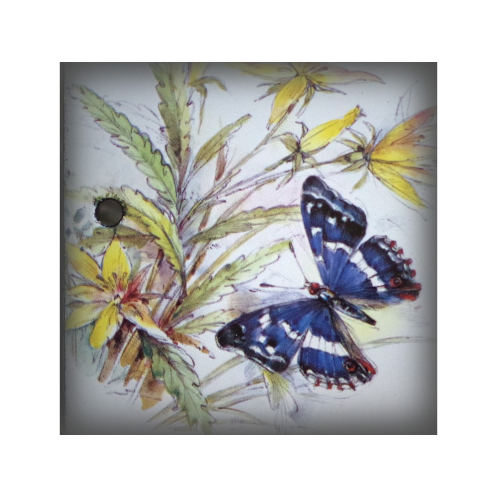 Numéro de rue émaillé décor papillon bleu 15x10cm zoom
