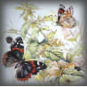 Enamelled street number black and red butterfly decor zoom