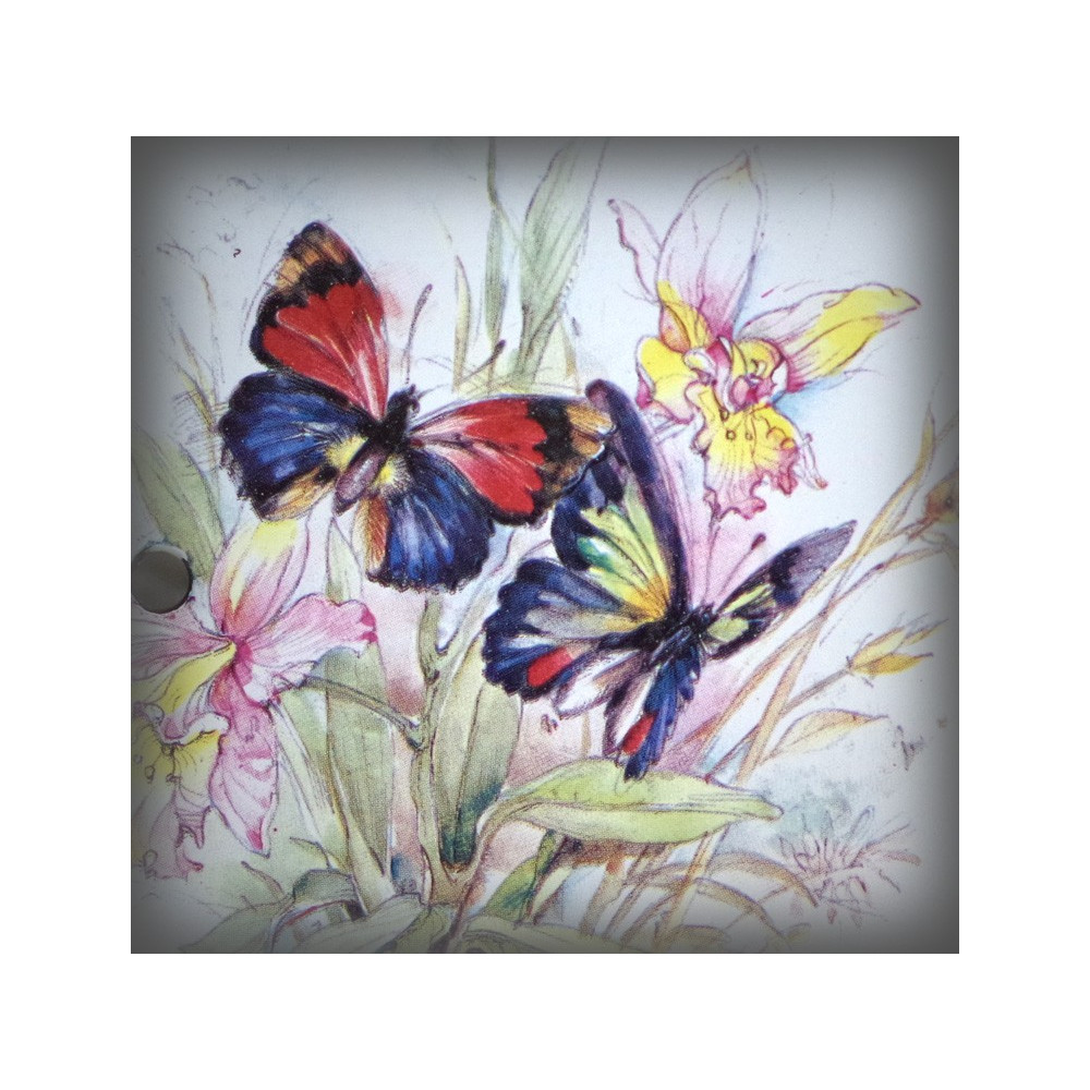 Numéro émaillé décor 2 papillons bleus 15x10cm ZOOM