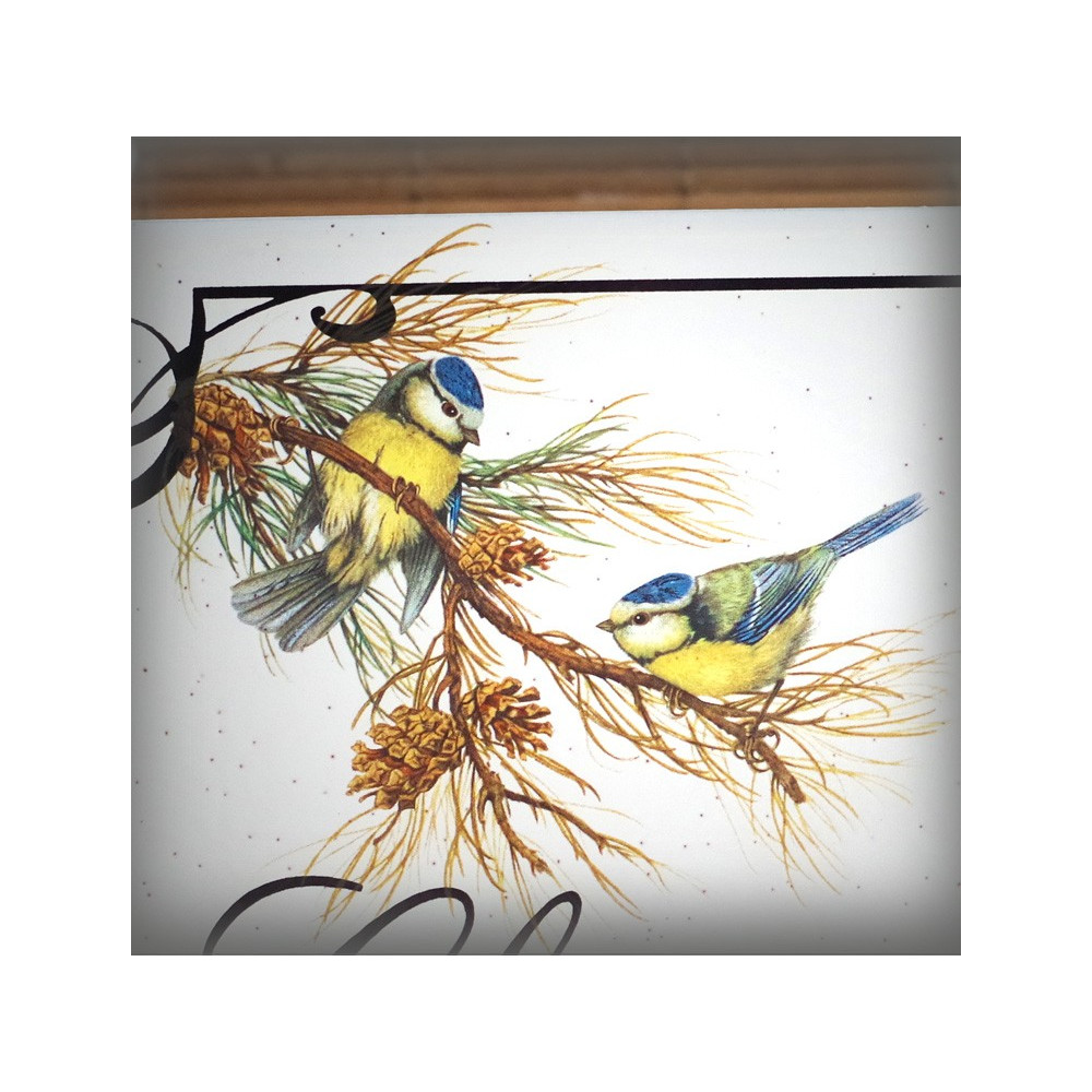 Plaque émaillée gres 30x20cm décor Mésange bleue texte english liseré anglais