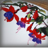 Zoom in Fuchsia decor