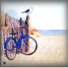 Home plate enamelled Dunes decoration zoom