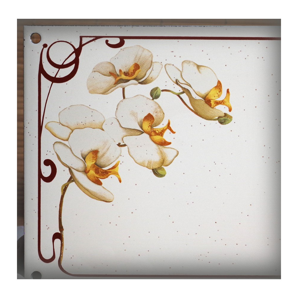 décor Orchidées